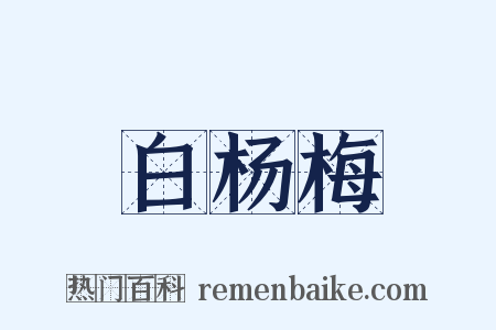 白杨梅是什么意思的图片